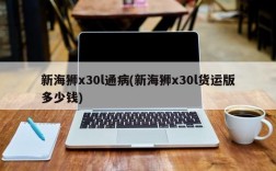 新海狮x30l通病(新海狮x30l货运版多少钱)