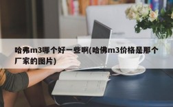哈弗m3哪个好一些啊(哈佛m3价格是那个厂家的图片)
