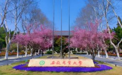 安徽农业大学官网 安徽农业大学官网录取查询入口