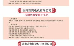 招聘信息最新招聘2024 官网招聘最新招聘