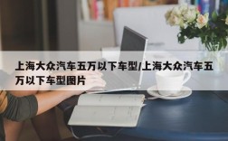 上海大众汽车五万以下车型/上海大众汽车五万以下车型图片