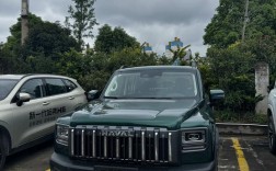 为什么傻子才买猛禽(为什么多傻子买哈弗)