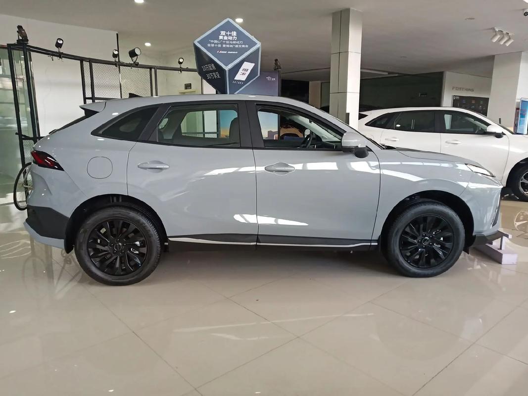 【东风风行t5evo怎么安装软件,东风风行t5安装第三方软件】