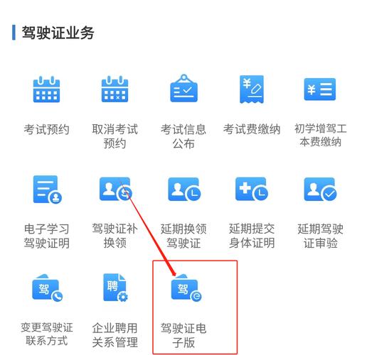 驾驶证官方网站/驾驶证业务中心官网