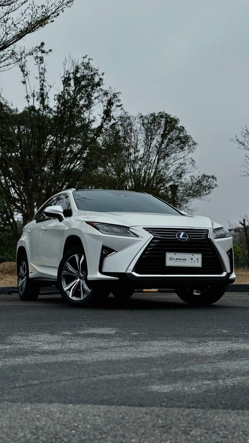 rx450雷克萨斯 rx450雷克萨斯没有D柱吗